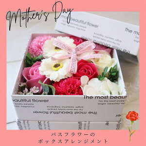 oXt[@{bNXAWg@̓@Mtg@@bZ[WM\@492