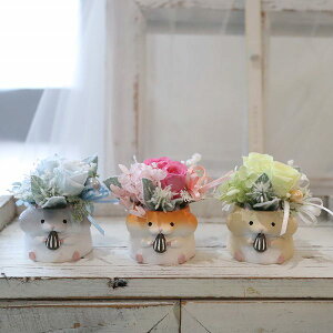 nX^[@vU[uh@Mtg@ԍ炭nX^[@ybg{@@512