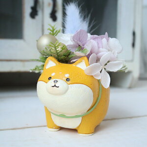 ԍ炭Č@~jAWg@Mtg@a@526