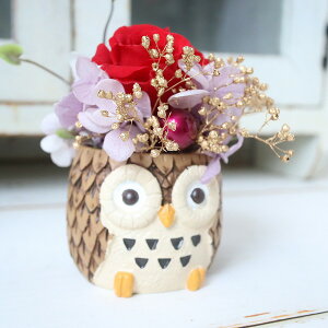 ԍ炭ӂ낤@~jAWg@Mtg@a@527