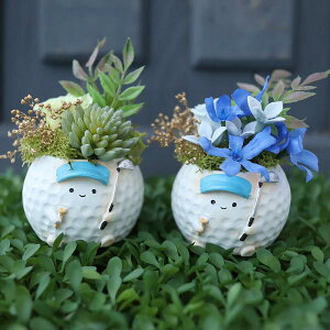 ԍ炭St@Ry@ii@Q܁@Mtg@a@533