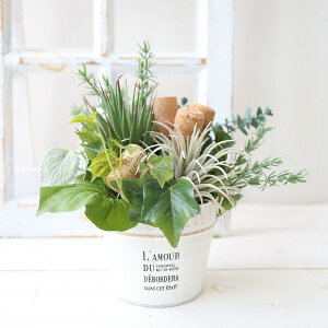 {^jJAWg@tFCNO[@̓@a@Mtg@@bZ[WM\@599