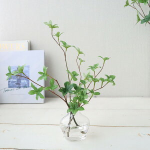 ܂Ŗ{IhE_ccW̃}WJEH[^[@tFCNO[@a@JXj@Mtg@CeA@300