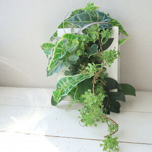 EH[AW@Ǌ|@@bZ[WM\@X܁@fBXvC@T@JX@613