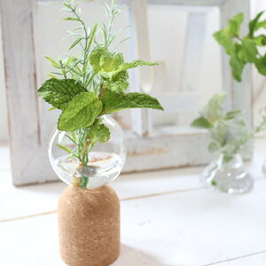 ローズ マリー アレンジの人気商品 通販 価格比較 価格 Com ローズ マリー アレンジの人気商品 通販 価格比較 価格 Com