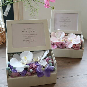 Ӓ̃tHgt[@Mtg@LO@ybgX@ gift262