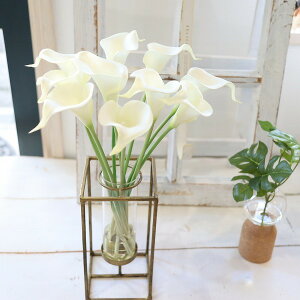 J[@}WJEH[^[@CeA@Mtg Vv@AeB[NԊ@118