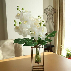 Ӓ@}WJEH[^[@CeA@Mtg Vv@AeB[NԊ