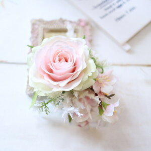 ƃ[YRT[W@k[fBsN@Ǝ@@w@@tH[}@224