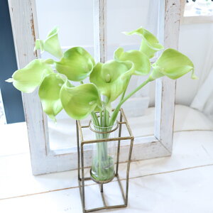 J[ylimez@}WJEH[^[@CeA@Mtg Vv@AeB[NԊ@j  ł܂ĂڂȂ