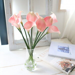 J[@sN@}WJEH[^[@@̐@CeA@Mtg@j@183