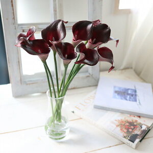 J[@{h[@}WJEH[^[@@̐@CeA@Mtg@j@184