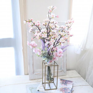 nhCh2024@UȂTN@@}WJEH[^[@sakura@AeB[NԊ@@207