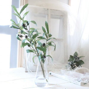 �I���[�u�@Olive�@���@�̐��@�}�W�J���E�H�[�^�[�@��̓��@�C���e���A�@�M�t�g�@���j���@226