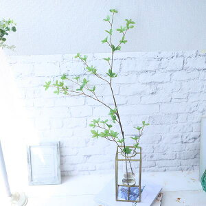 hE_ccW@UP@}WJEH[^[@CeA@Mtg AeB[NԊ@235