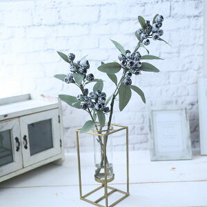 [J eucalyptus@egSi }WJEH[^[ CeA Mtg AeB[NԊ@236