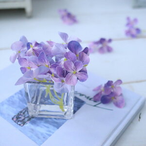 zԁ@AWTC@}WJEH[^[@CeA@@̐@237