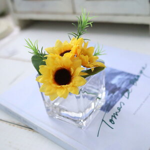 ~j@@q}@Ђ܂@}WJEH[^[@CeA@@̐@240