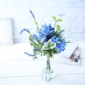 Blue@}WJEH[^[@CeA@@T@ց@ybg{@fuji@hV̓@@̐@242