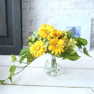 }WJEH[^[@CG[n@͂ꂸɏ@@̐@T@JX@LO@@244