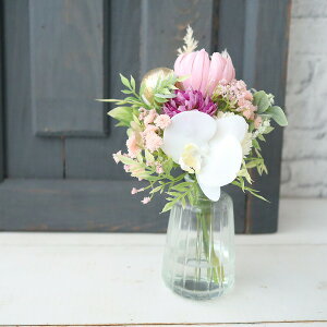 Ӓ@}WJEH[^[@CeA@@T@ց@ybg{@hV̓@@̐@250