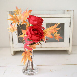 }WJEH[^[@݂@o@HF@CeA@@̐@259