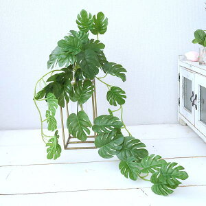 Xe@ւsv@@̐@}WJEH[^[@CeA@Vzj@AeB[NԊ@282