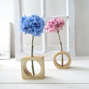 *󒍐*@؂̉ƁAÂȉԁB@zԁ@}WJEH[^[AW@301