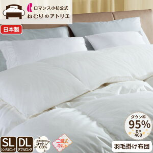 }X Hѕzc Ji_Y zCgO[X95 VO _u _E95 wLg 1.1kg DP460 Hъ|zc VOO HтӂƂ n n  zCg Vv zc ~