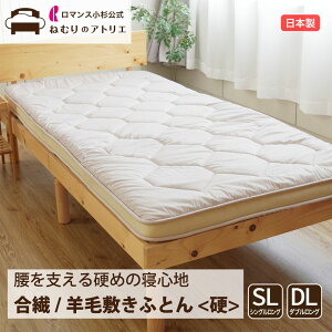 yN[|+P10{zr ~zc 㕔 r100 { lw ~zc VO 100×210cm OTCY }`t oXł킽 I[KjbNE[ tXE[ ~zc ~ӂƂ 