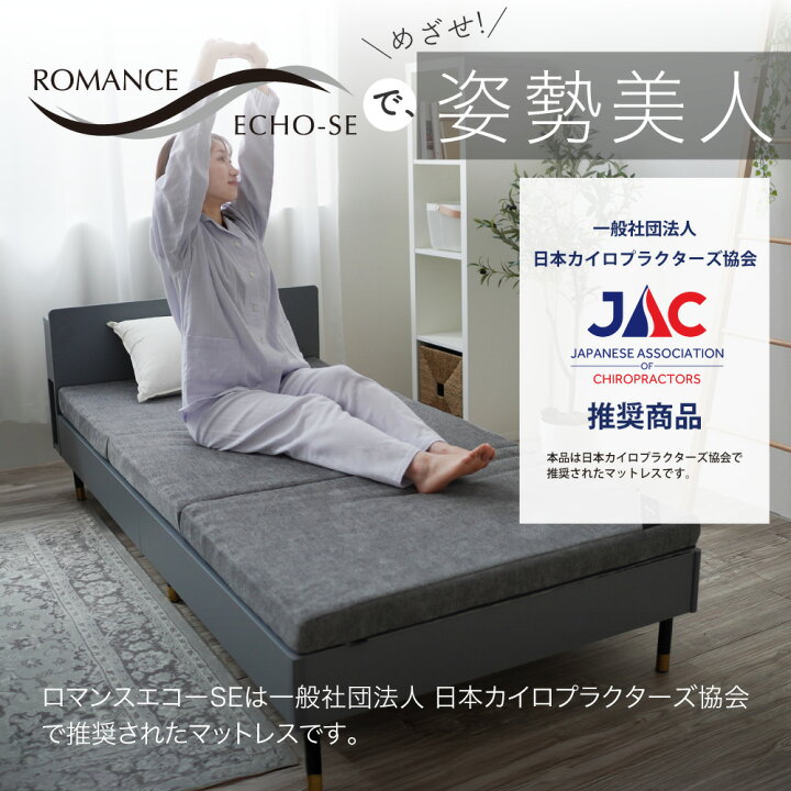 楽天市場】【ロマンス小杉公式】ロマンスエコーSE シングル 新モデル 