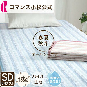 y20`P10{ɃN[|p\z^In ~pbh Z~_u 100 VJ[pCn ėp  I[V[Y EHbVu 􂦂 z ^In ~pbg 120×205cm SD 