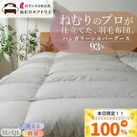 【最大10000円OFFクーポン】ロマンス小杉 公式 洗える 羽毛布団 コインランドリー ウォッシャブル シングル セミダブル ダブル クイーン ハンガリー グースダウン93％ 日本製 1.1kg DP410 掛け布団 グース ダウン93％ 軽量 冬 冬用 暖かい あたたか あったか 冬掛け 93 秋