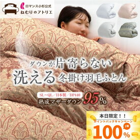 【20日限定 100%ポイントバック】ロマンス小杉 公式 洗える 羽毛布団 冬 シングル マザーダウン セミダブル ダブル クイーン ダウン95％ DP440 掛ふとん 掛布団 掛け布団 日本製 あったか 暖かい コインランドリー 羽毛が偏らない 秋