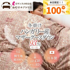 y25蒊Iōő100%|CgobNz}X  Hѕzc { ~ VO }U[O[X_E Z~_u _u NC[ LO _E93  zc |ӂƂ O