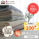 【最大10000円OFFクーポン】セットで【300円OFF】綿 敷きパッド 吸湿発熱 綿100％ シングル セミダブル ダブル クイーン ファミリーサイズ 冬 シーツ ベッドパッド コットン敷きパット 敷き シーツ 2枚セット 2枚組 敷きパッド 冬 秋冬 あったかシーツ