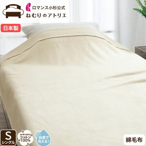 Ȗѕz 100 { VO Rbg100 g uPbg }X  gѕz  k VOѕz 炩 Ƃ낯 y Ȃ߂炩 炳 ѕz Vv