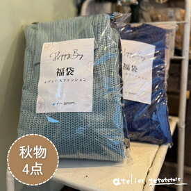 福袋 店長おまかせ秋物4点セット 福袋 ハッピーバッグ ファッション レディース トップス シャツ ブラウス Tシャツ 長袖 スカート パンツ 靴下 帽子 ベレー帽 小物 秋 秋物 プチプラ プレゼント ギフト
