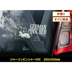 【 ジャーマンピンシャー V01】 スモークウインドウ に映える カーステッカー シールタイプ シール 外張り 外貼り 220×100mm ホワイト印字 白色印字 黒い ボディ にも 中型犬 ドイツ Pinscher ピンシャー ジャーマン・ピンシャー 【送料無料】