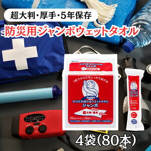 防災 ウェットタオル 大判 厚手 個包装 5年 保存 トーヨ ウェットタオルジャンボ 一枚で全身を拭ける 清拭シート 濡れタオル 体拭き 汗拭き ノンアルコール 低刺激 乳幼児 子供 高齢者 介護