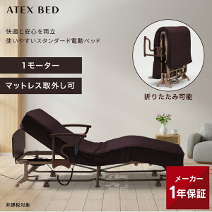 R221 ATEX 電動ベッド リクライニングベッド ソファポジション 電動 