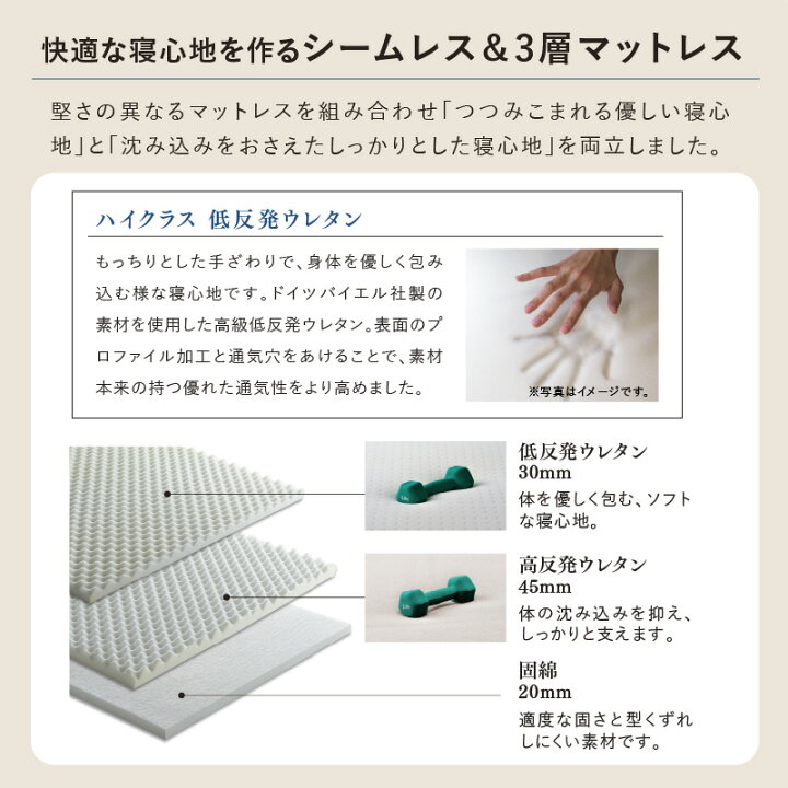 楽天市場】【ポイント10倍】収納式プレミアムベッド 電動WF 