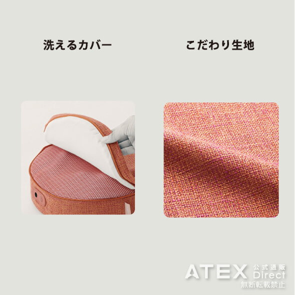 ルルドフットマッサージャープロAX-HPL304