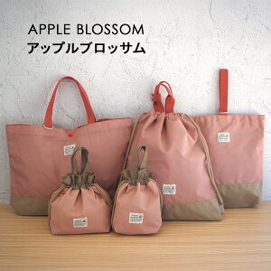 入園 入学 5点セット レッスンバッグ セット 入学袋セット 入学バッグセット 撥水 撥水加工 ナイロン 入学準備 巾着 巾着袋 体操服入れ 体操着袋 コップ袋 上履き入れ シューズバッグ お弁当