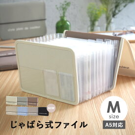 書類 収納 書類ケース ファイル ファイル収納 Mサイズ じゃばら式 13ポケット ドキュメントファイル 書類収納 領収書整理 医療費領収書 手紙整理 学校 プリント入れ レシート整理 通帳 蛇腹 伸び縮み ポケットファイル インデックスファイル