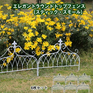 GKg Ehgbv tFXiXeBbNEX[j6Zbg tFX ACAtFX ubN zCg 47cm 40cm O K[f XeBbN  y K[fjO erf-
