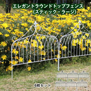 GKg Ehgbv tFXiXeBbNE[Wj6Zbg tFX ACAtFX ubN zCg 61cm 61cm O K[f XeBbN  y K[fjO erf-061