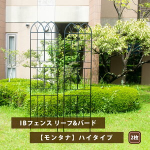 IBtFX [to[h ^i nC^Cv 2Zbg N}`X gX KN IxXN ACA K[f 鐫A bREo U tFX A   m iq  