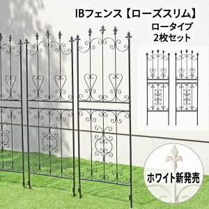 IBtFX [YX [^Cv 2Zbg gX n[g N}`X  o Œ ACAtFX K[ftFX K[fjO [Y IxXN 鐫A U b