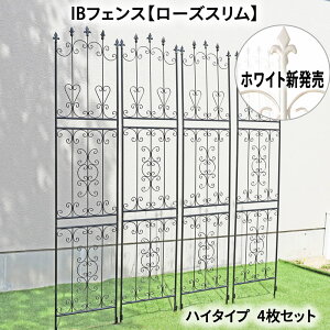 IBtFX [YX nC^Cv 4Zbg gX n[g N}`X  o Œ ACAtFX K[ftFX K[fjO [Y IxXN 鐫A U b